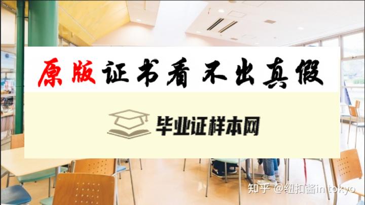 日本​尚美学园大学毕业证书模板