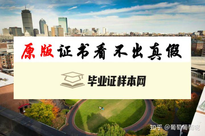 美国东北大学毕业证书模板