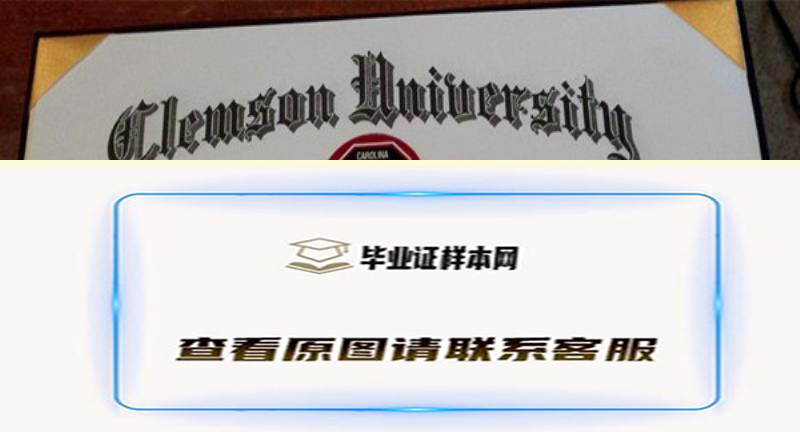 克莱姆森大学