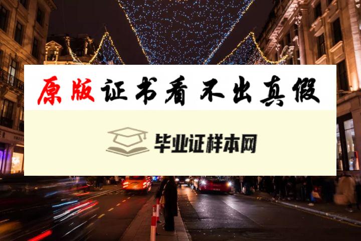 英国曼切斯特大学成绩单样本