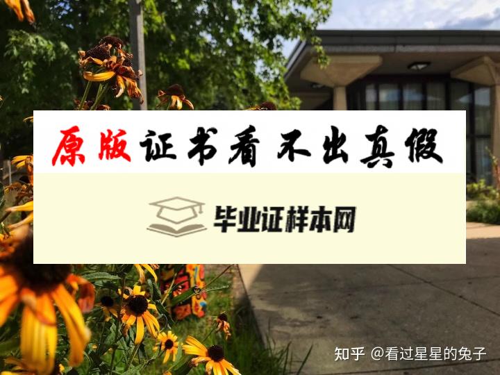 美国伊利诺斯大学芝加哥分校毕业证书模板