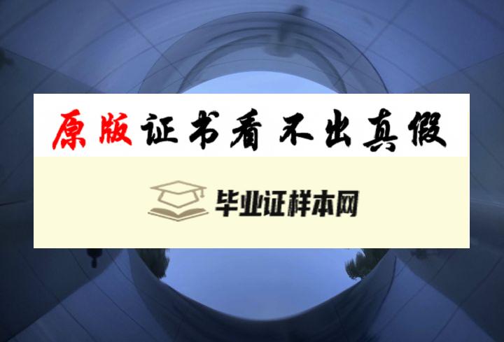 ​日本东京艺术大学毕业证书模板