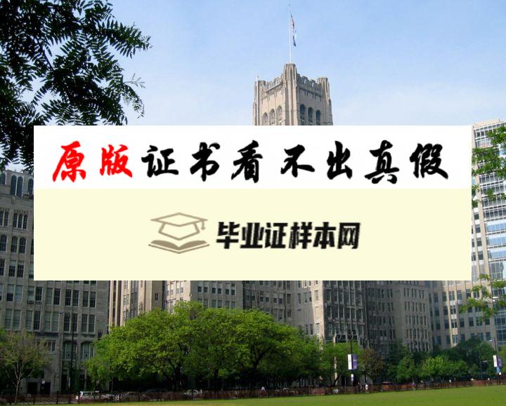 美国西北大学毕业证书模板 northwestern university