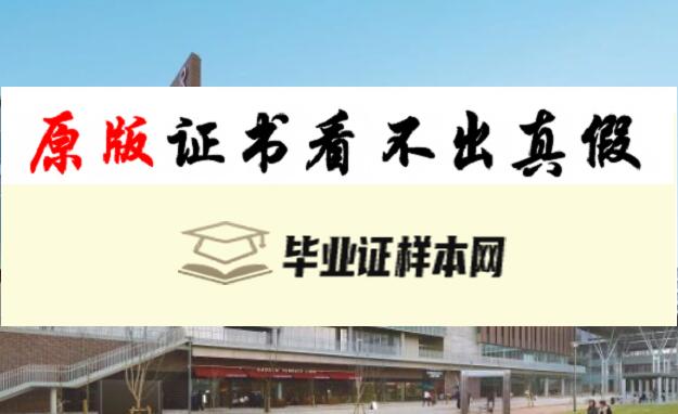 日本立命馆大学学位记毕业证书模板