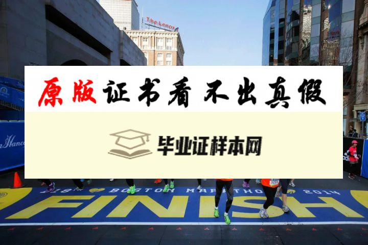 美国东北大学成绩单模板