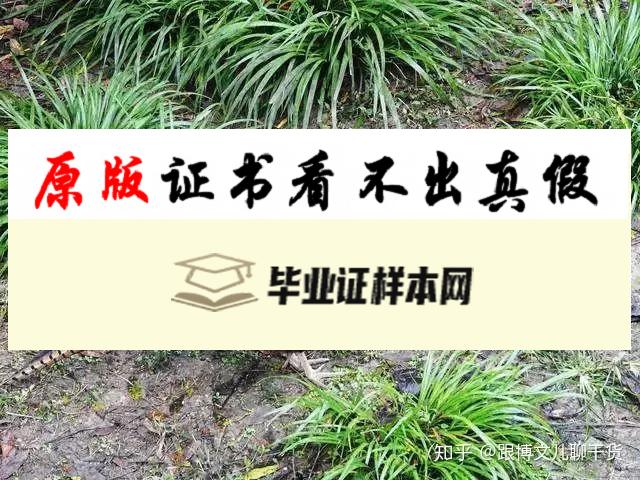 美国德克萨斯农工大学学院站分校毕业证书模板