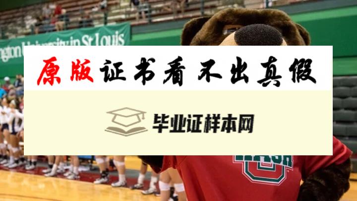 美国华盛顿州立大学毕业证书模板