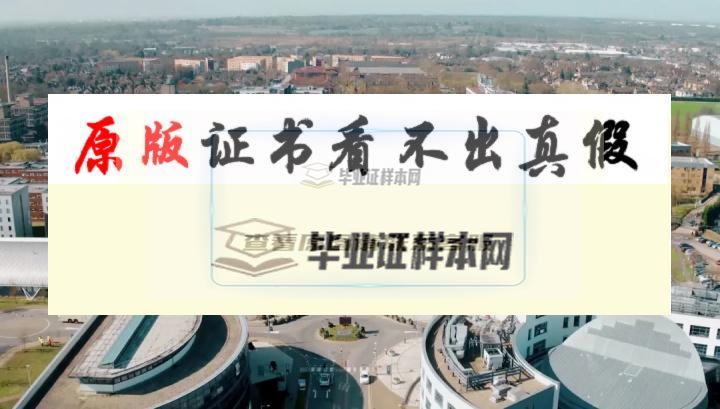加拿大布魯克大學畢業證書模板