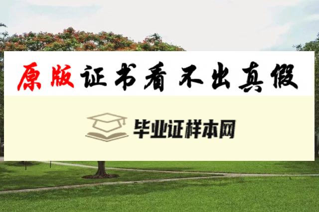 美国迈阿密大学毕业证书模板