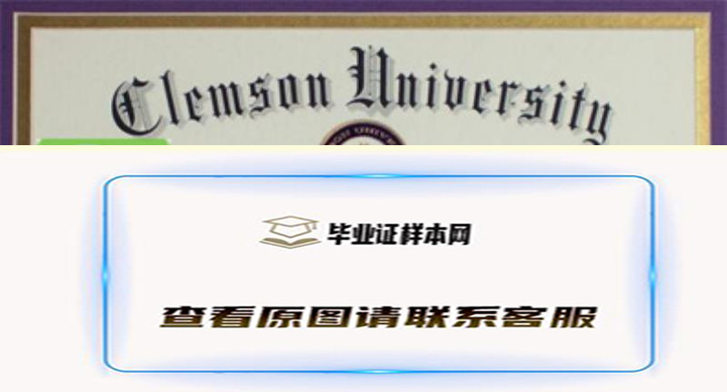 美国克莱姆森大学毕业证书模板