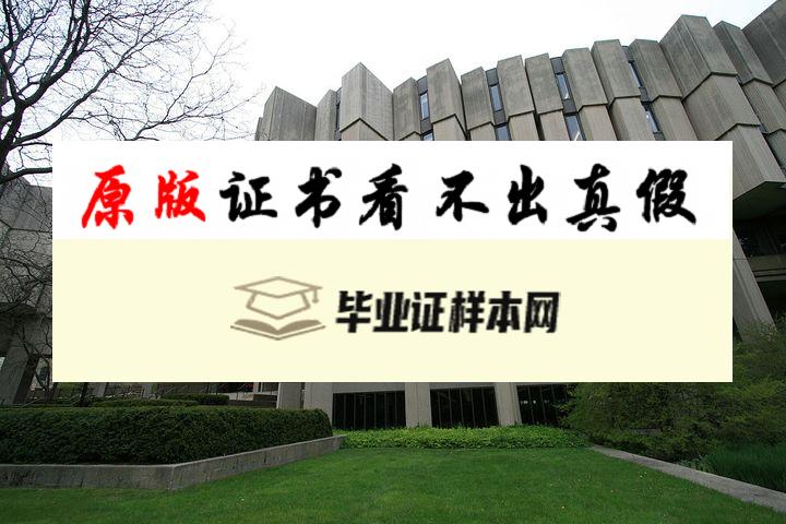 美国西北大学毕业证书模板 northwestern university