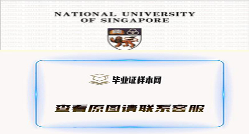 新加坡国立大学National University of Singapore