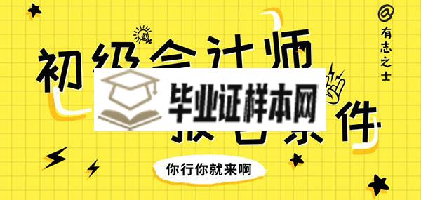 初级会计证报考条件