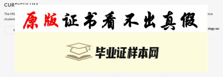 美国东北大学成绩单模板