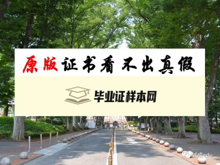 日本成蹊大学毕业证书模板