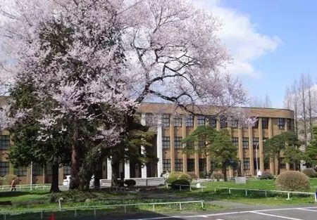 日本阪南大学毕业证书模板