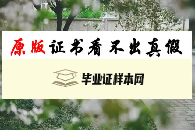 韩国中央大学成绩单样本