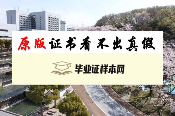 ​日本中央大学毕业证书模板