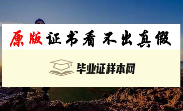 日本数字好莱坞大学毕业证书模板