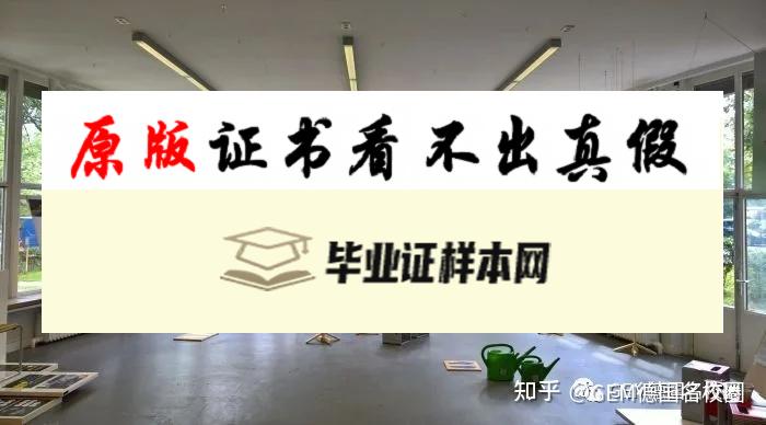 美国德锐大学毕业证书模板