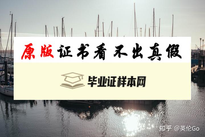 英国伦敦南安普顿大学毕业证书模板