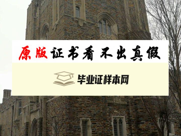 美国杜克大学成绩单样本