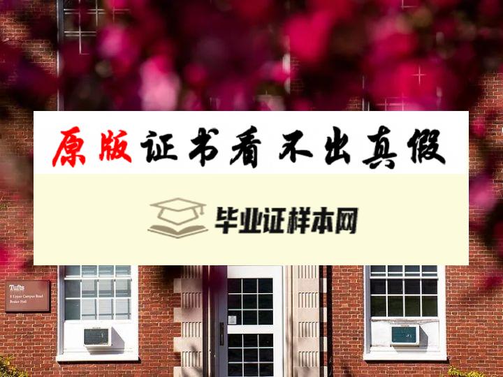 美国塔夫茨大学毕业证书模板  Tufts University