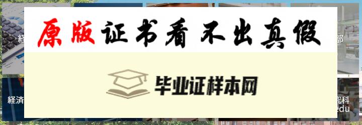 日本成蹊大学毕业证书模板