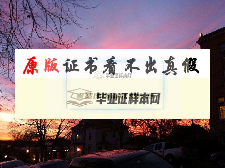 ?美國塔夫茨大學畢業證書模板