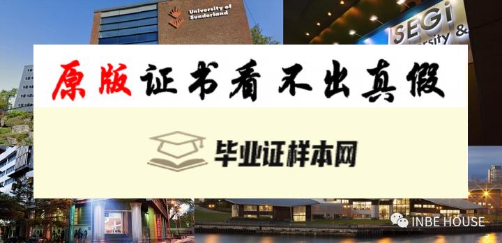 英国桑德兰大学毕业证书样本 University of Sunderland