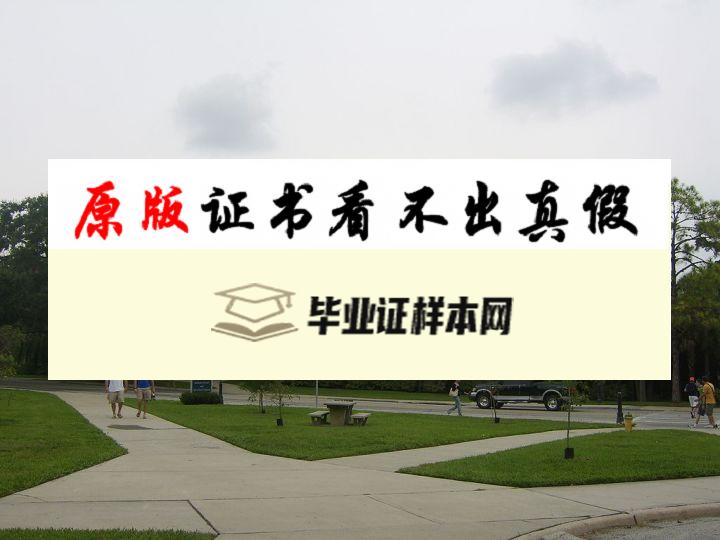 美国佛罗里达州立大学毕业证书模板