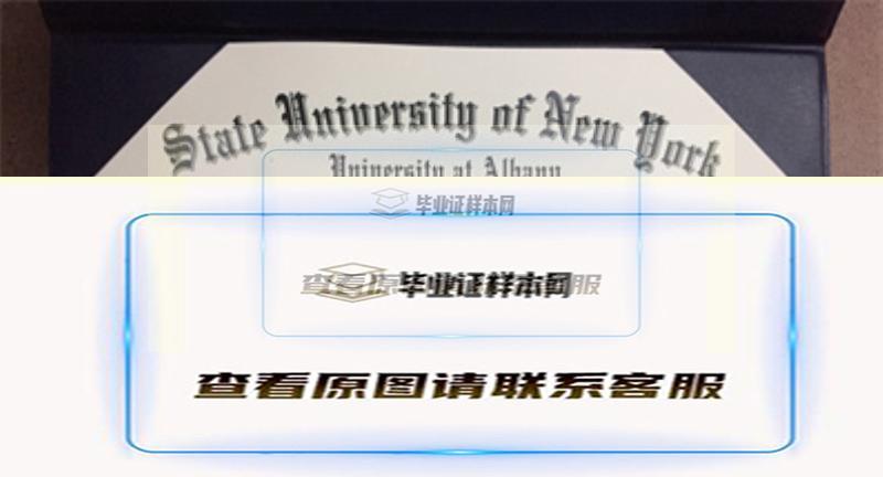 美国纽约州立大学奥尔巴尼分校毕业证书模板高清图片