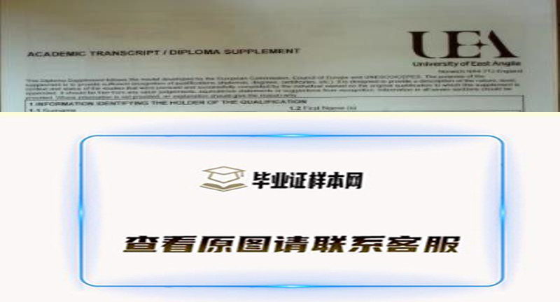 东安格利亚大学成绩