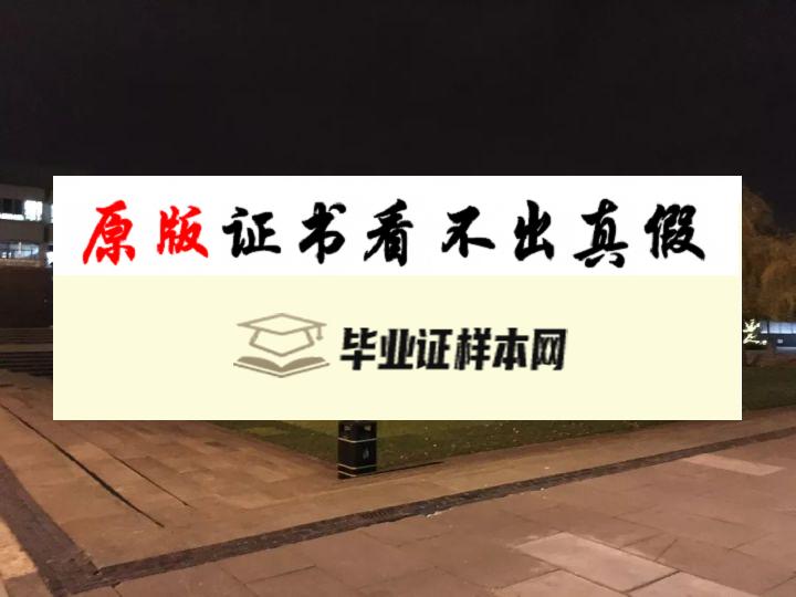 英国布鲁内尔大学毕业证书样本