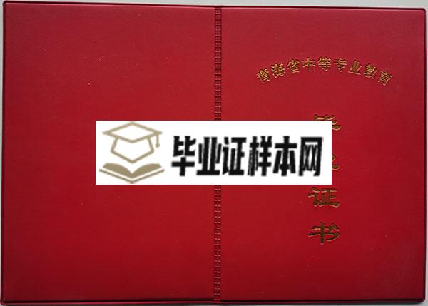 青海省2010年中专毕业证封面、