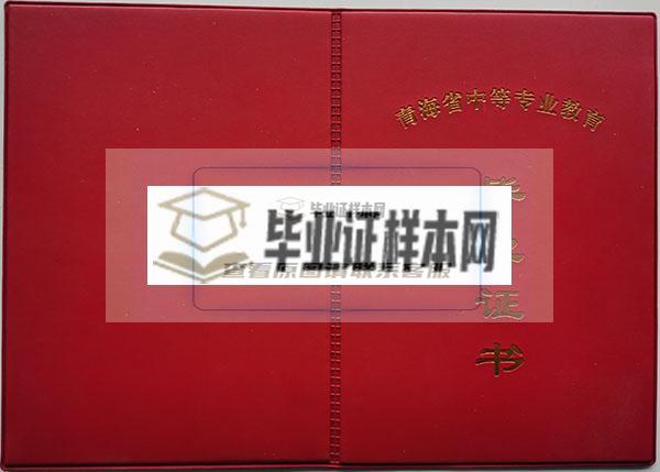 青海省2010年中专毕业证封面、