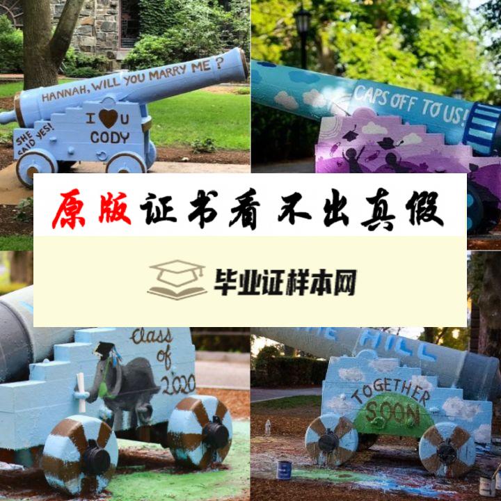 美国塔夫茨大学毕业证书模板  Tufts University