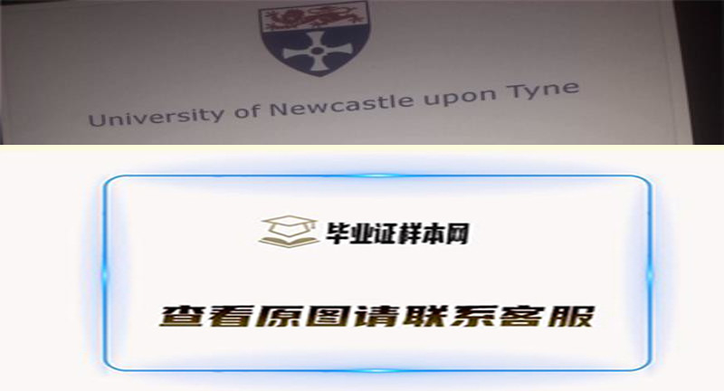 英国纽卡斯尔大学毕业证书样本