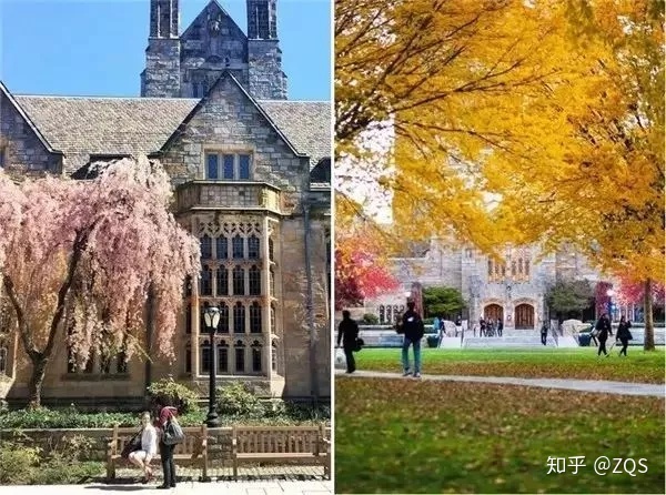 美国圣路易斯大学毕业证书模板