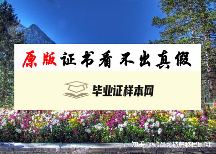 加拿大北阿尔伯塔理工学院毕业证书模板