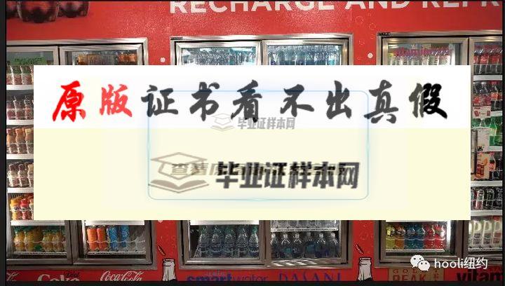 美國佩斯大學畢業證書模板