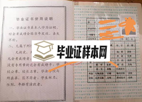 黑河市2007年高中毕业证成绩单