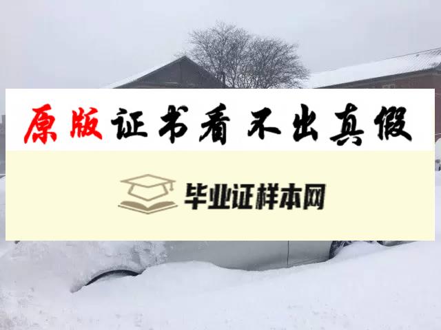 美国康涅狄格大学毕业证书模板