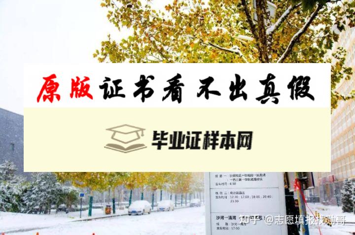 韩国中央大学毕业证书模板