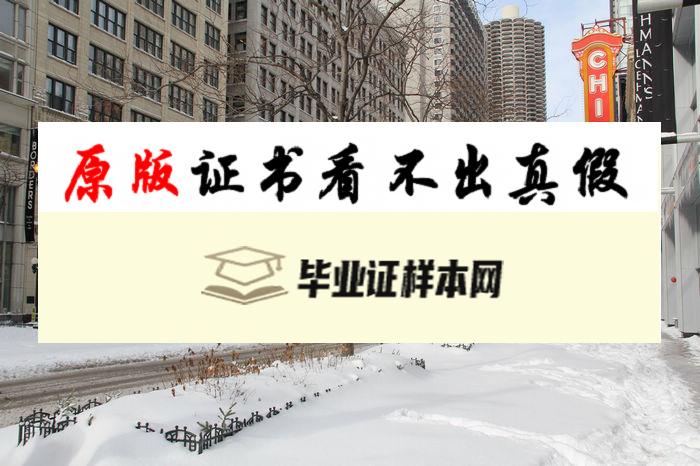 美国加州美国大学毕业证书模板