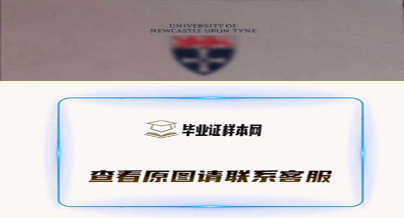 英国纽卡斯尔大学毕业证书样本