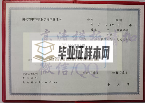 湖北省2002年中专毕业证内芯