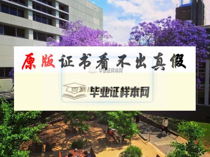 澳大利亞?新南威爾士大學成績單樣本