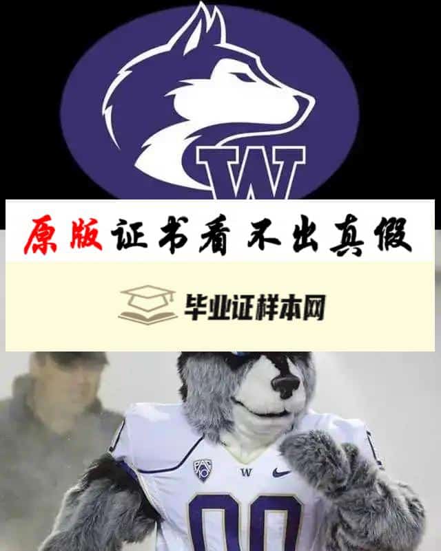 美国华盛顿大学毕业证书模板  University of Washington