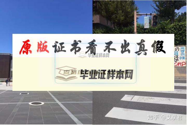 日本?京都大學畢業證書模板